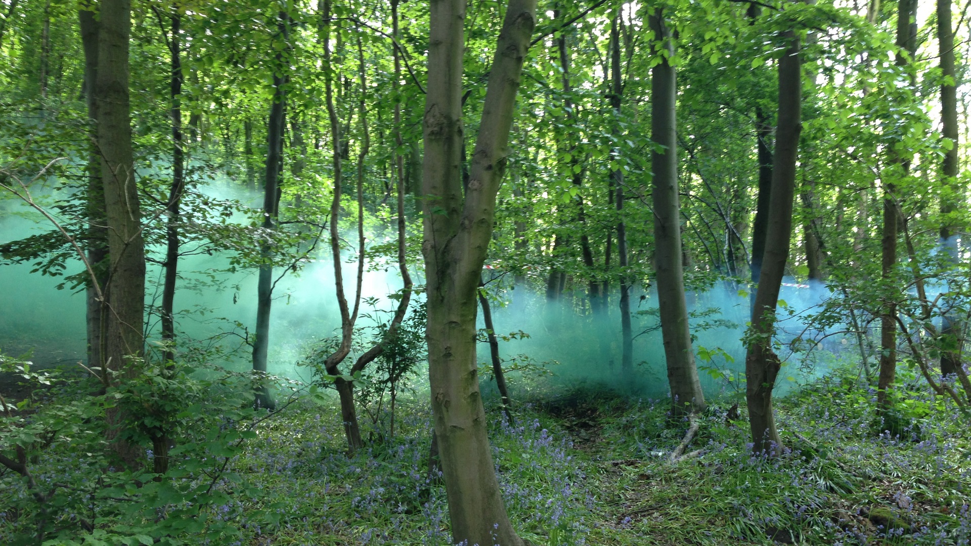 Environment