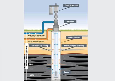 Coal seam gases