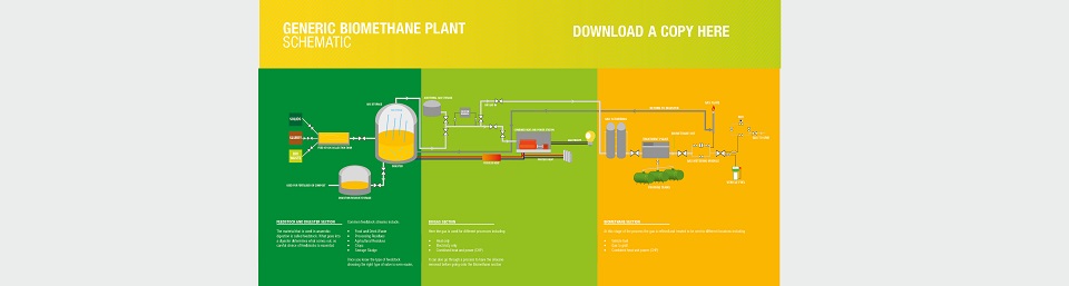 Renewable Gas Schematic 