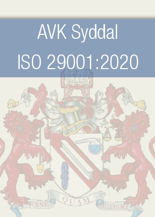 AVK Syddal TS standard