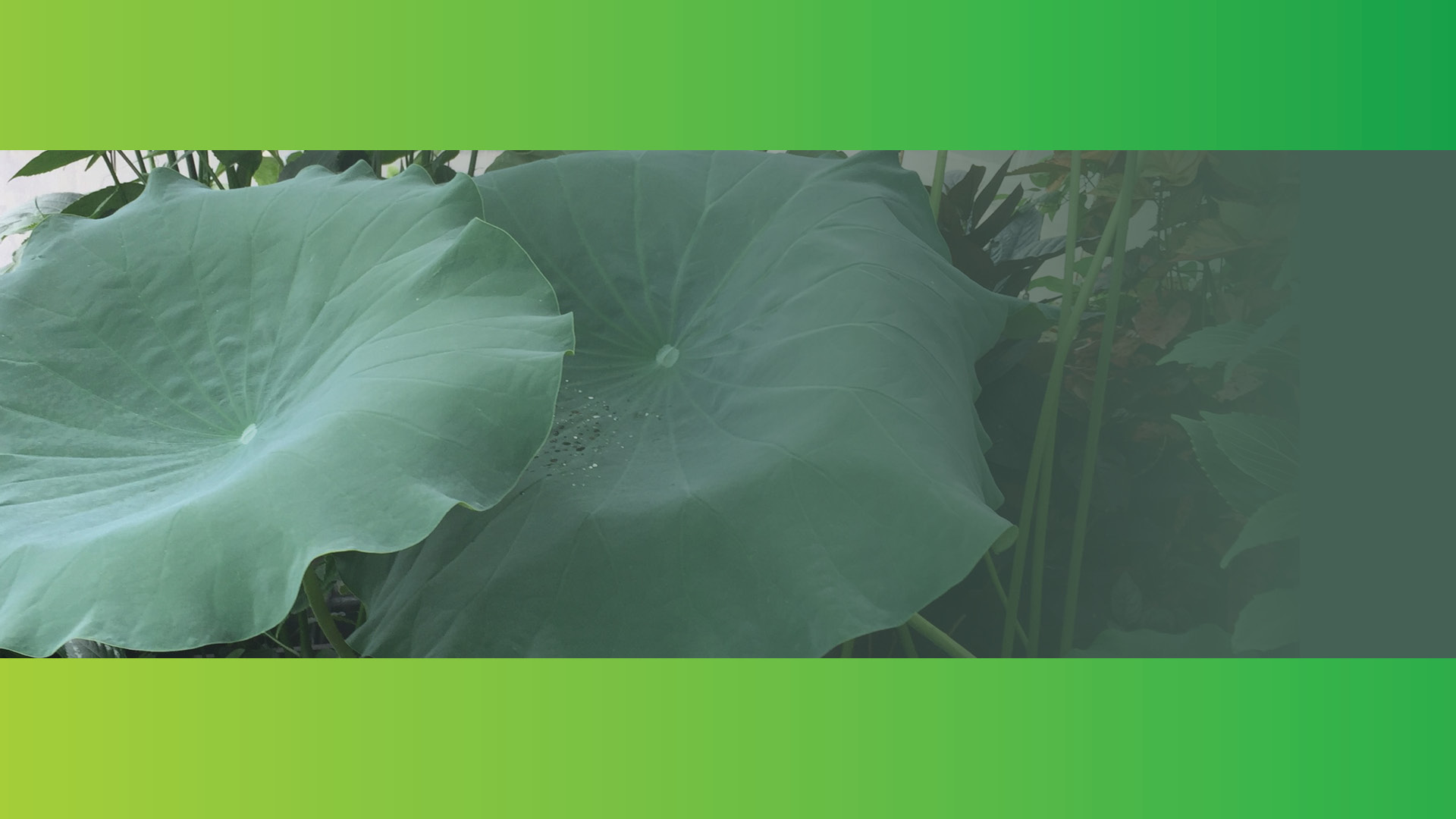 AVK UK Group commits to using green electricity. Zero carbon certification