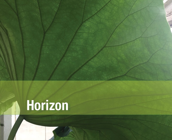 AVK UK Green Paper Download 