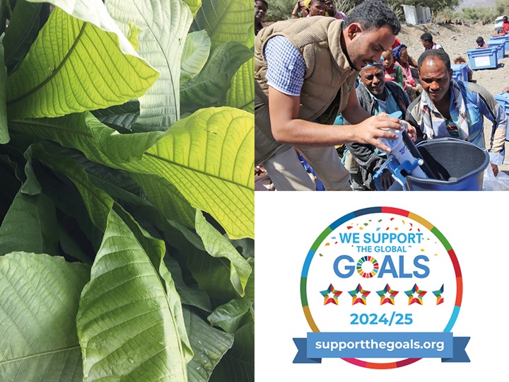 Sustainability programme