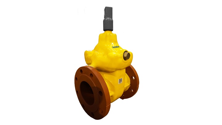 Donkin AVK Flanged PUR Coated Valve